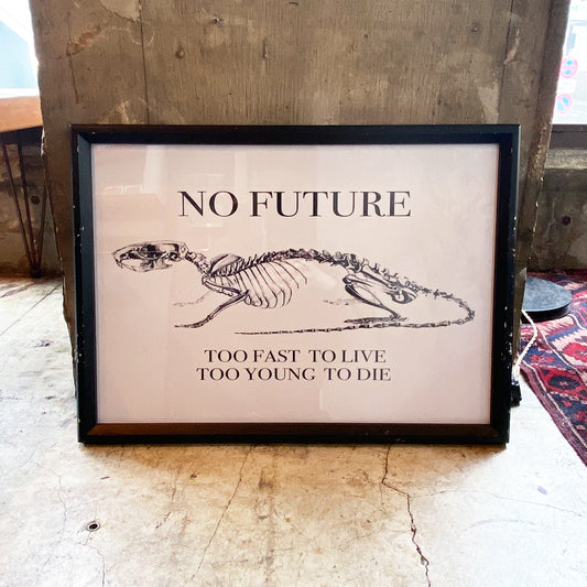 Hand made frame / No future RAT